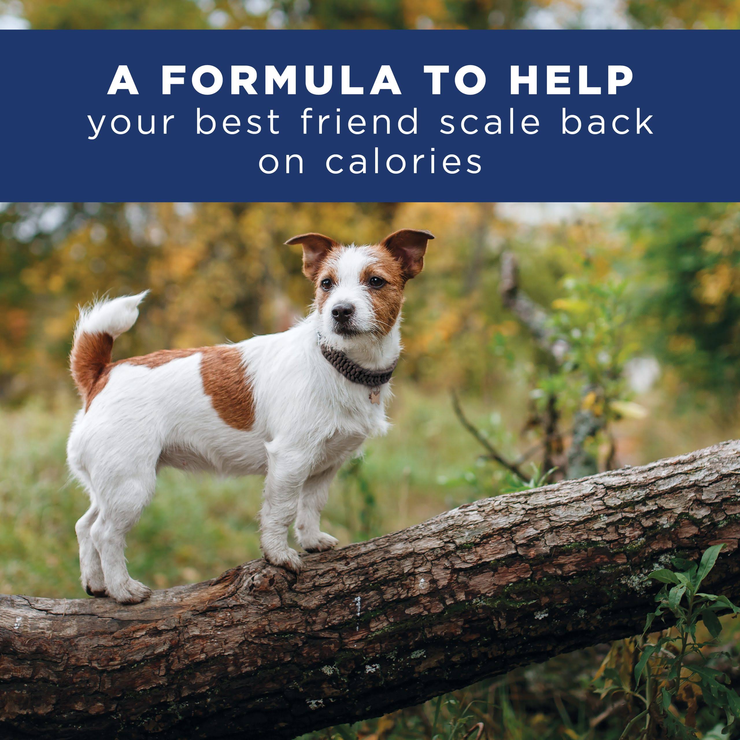 Natural Balance Fat Dogs Dog Food, Chicken Meal, Salmon Meal u0026 Barley Formula - 28 lb