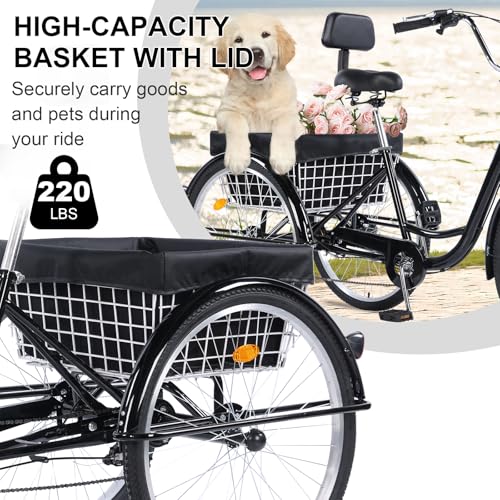 Versatile 24/26-Inch 3-Wheel Adult Tricycle with 7-Speed Gearing and Spacious Basket for Comfortable Riding and Storage for Recreation, Shopping, Picnics