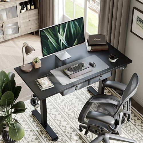 Standing Desk with 2 Drawers, Adjustable Height Electric Desk with Storage, 63 x 24 Inches Sit Stand Up Computer Table for Work Office Home, White