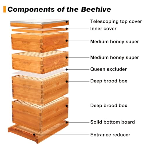 Bee Hive-10 Frame Beehive Starter Kit,Beeswax Coated Bee Hives for Bee Keeper,Beehive Include 1 Deep Bee Box and 1 Medium Bee Hive Box with Frame and Foundation(Unassembled)