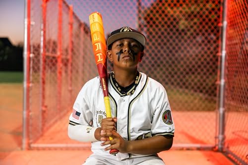 Easton | 2025 | Hype FIRE Baseball Bat | USSSA | -5 / -8 / -10 Drop | 2 3/4" Barrel | 2 Pc. Composite