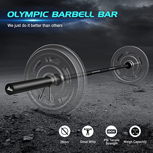Olympic Barbell Bar 7-Foot Weight Bar, Rated 700 lbs for Weight Capacity, Men’s Solid Iron Weighted Workout Barbell Weight Straight Weightlifting Technique Bar