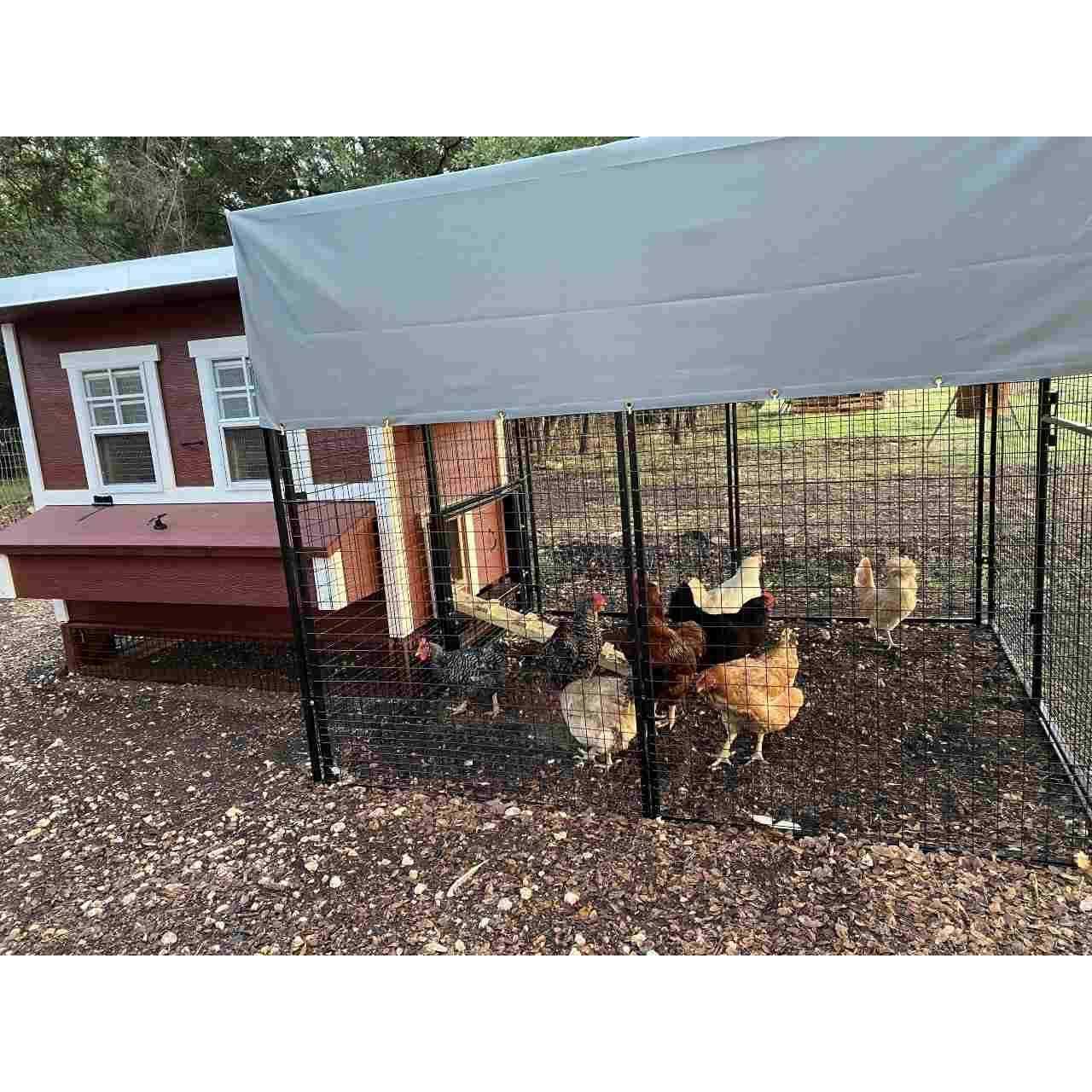 OverEZ Tarp 8 ft. Chicken Run - Pet Supplies online store