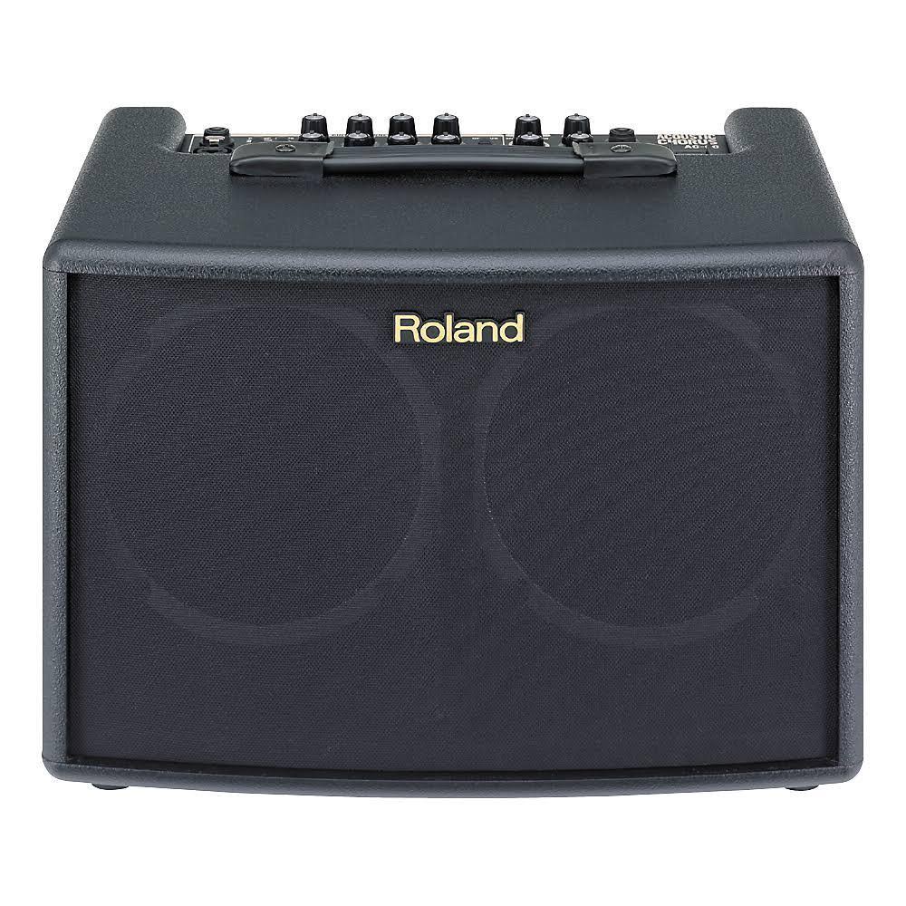 Roland AC-60 Acoustic Chorus Guitar Amp