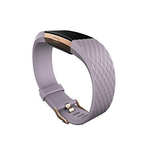 Fitbit Charge 2 Heart Rate + Fitness Wristband (Renewed)