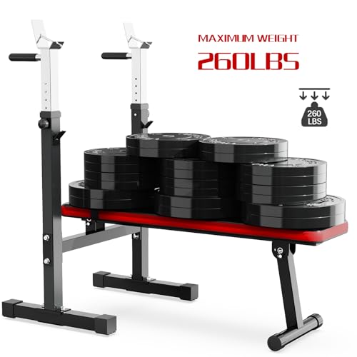 Adjustable Weight Bench Press with Squat Rack Folding Multi-Function Dip Station for Full Body Workout Home Gym Strength