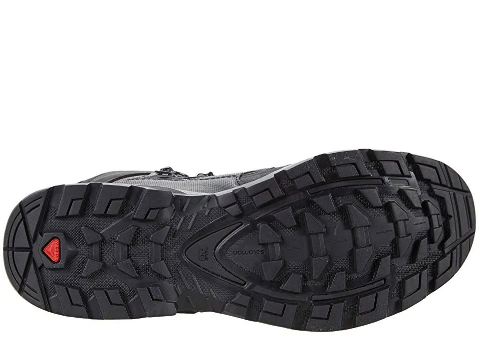 Salomon Quest 4 GTX, Men&s Magnet/Black/Quarry