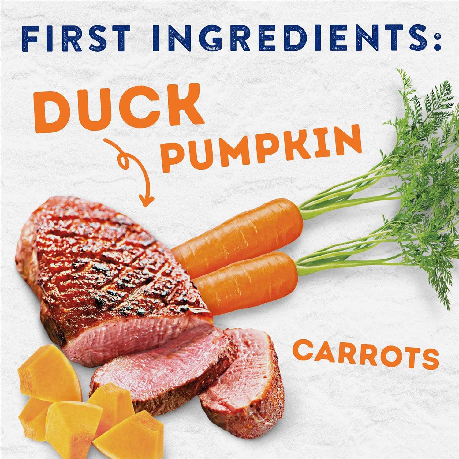 Natural Balance Platefulls Savory Duck &amp; Pumpkin Recipe Wet Dog Food - Pet Supplies online store
