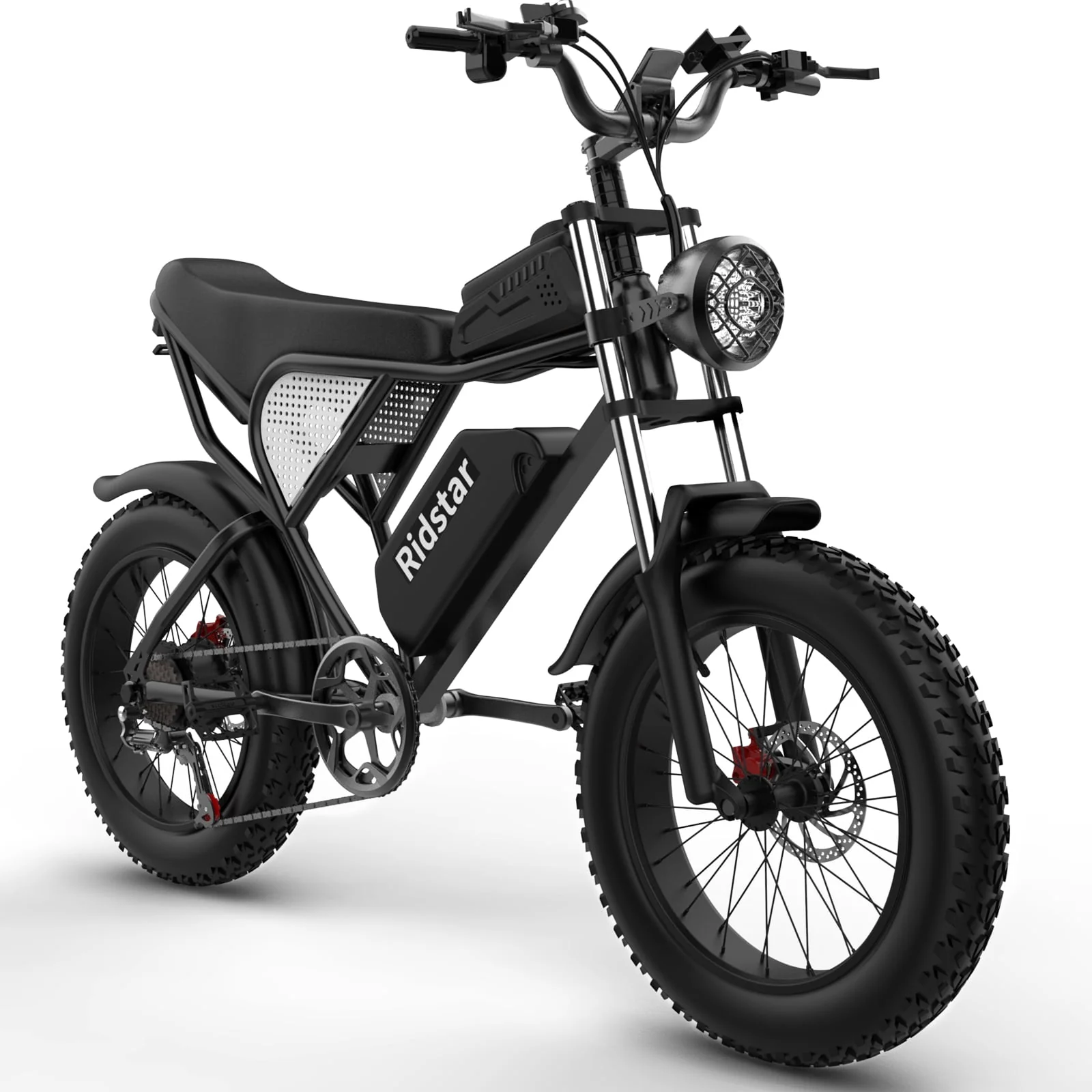 Electric Bike for Adults Ridstar, 20 Fat Tire Electric Motorcycle,1000W Electric Bike with Removable 48V/20Ah Battery E-Bike Shimano 7 Full Suspension Electric Bicycle