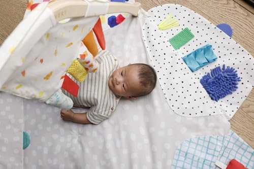 LOVEVERY | The Play Gym | Award Winning For Baby , Stage-Based Developmental Activity Gym & Play Mat for Baby to Toddler