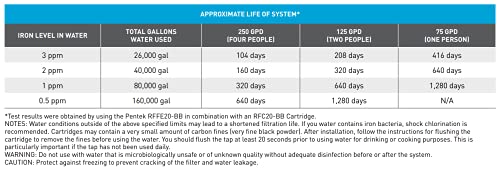 Pentair Pentek RFFE10-BB Big Blue Water Filter