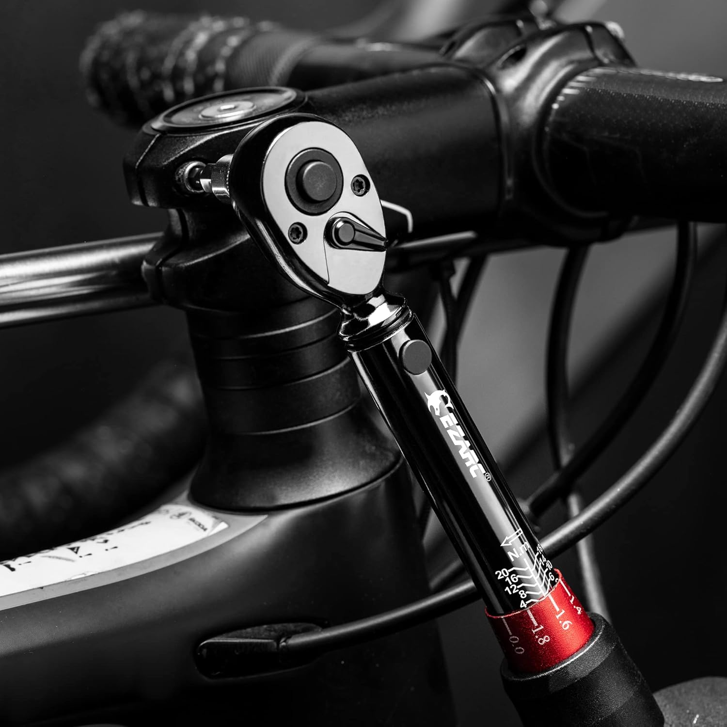 EZARC 1/4 inch Drive Click Bike Torque Wrench Set with Double Scale 2-20 Nm/17.7 - 177.0 in-lb Bike Maintenance Kit for Road Mountain Bicycle Repair