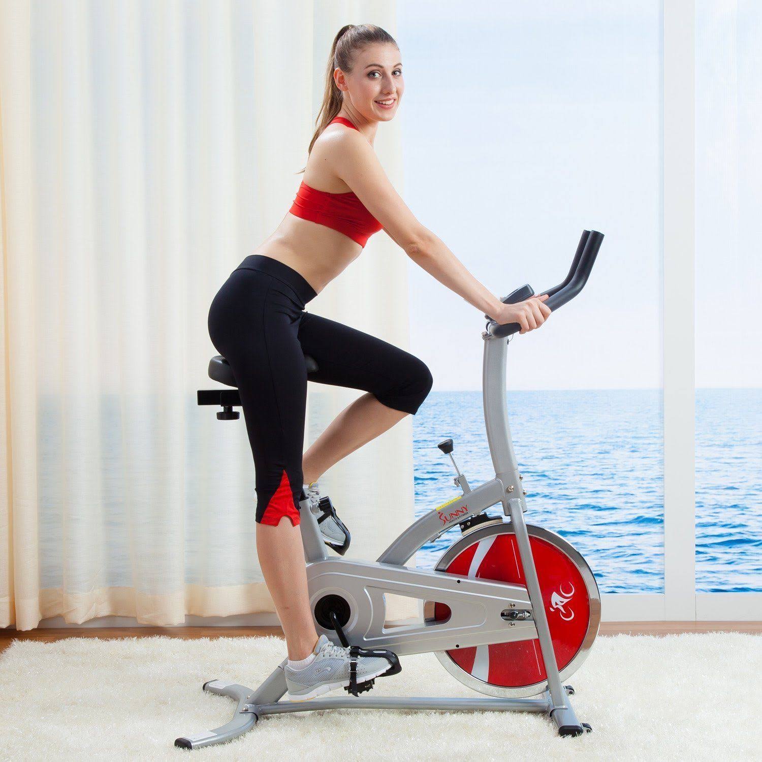 Sunny Health u0026 Fitness Pro Indoor Cycling Bike, Grey