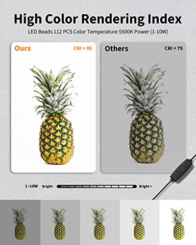 Glendan Photo Studio Light Box,Portable Dimmable Product Photography Shooting Tent Kit