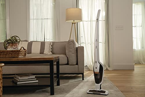 Electrolux Ergorapido Pet Stick Vacuum