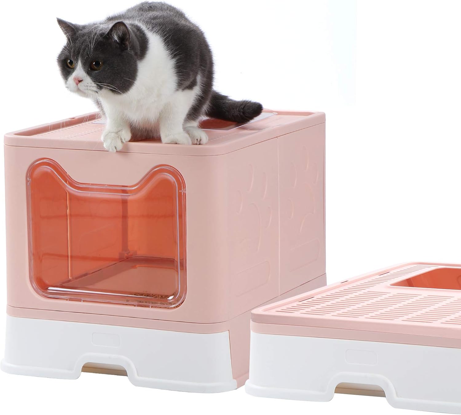 Dymoll Enclosed Litter Box Large, Foldable Top Entrance Cat Litter Box with Lid, Easy Clean No Smell Pet High Sided Litter Box Pack of 2