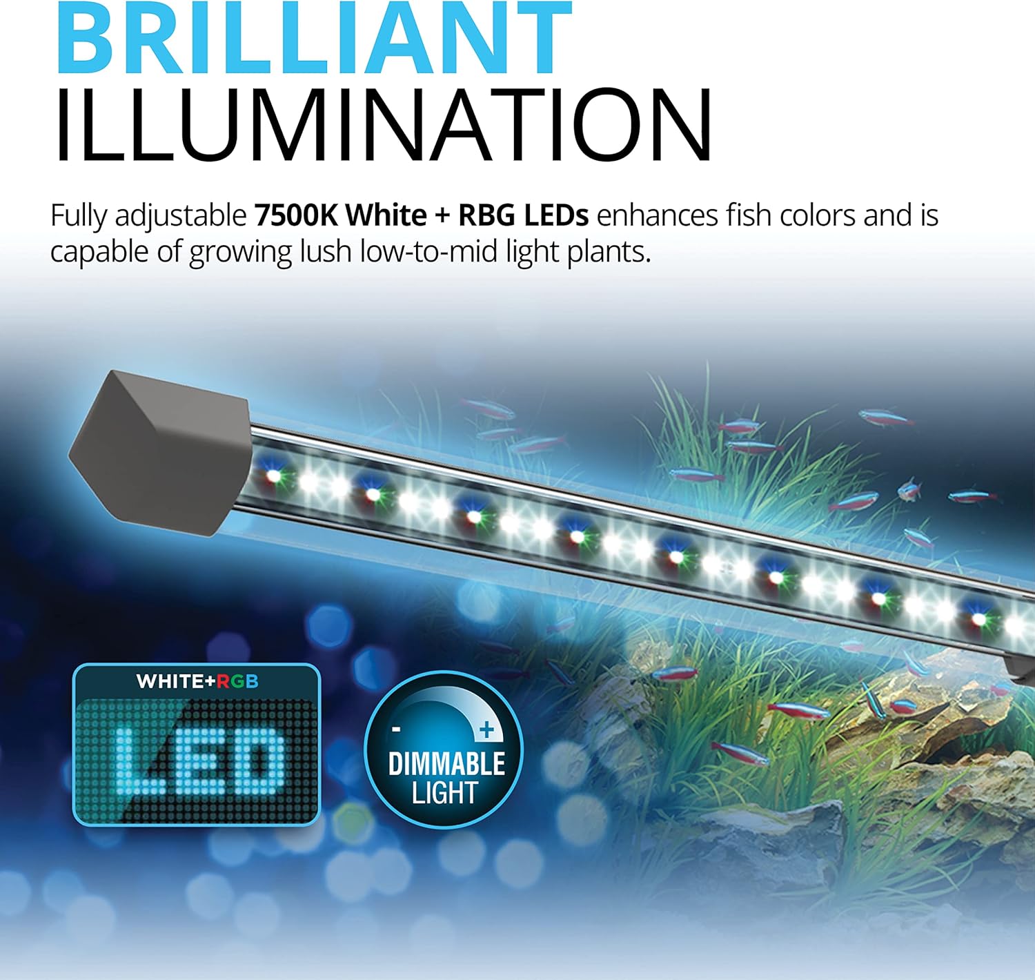 Fluval Flex 15 Aquarium Kit - Fish Tank for Fish & Plants - Comes with LED Lights, Filtration System & More - 16" x 15" x 15" - 57 L, 15 Gal. - White