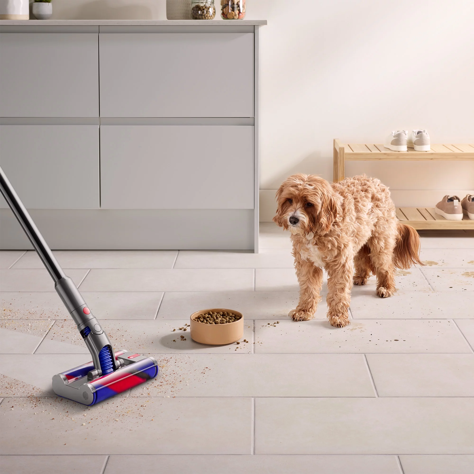 Dyson Omni-Glide+ Cordless Vacuum | Gold | New