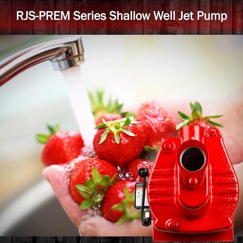 Red Lion RJS-50-PREM Premium Cast Iron Shallow Well Jet Pump