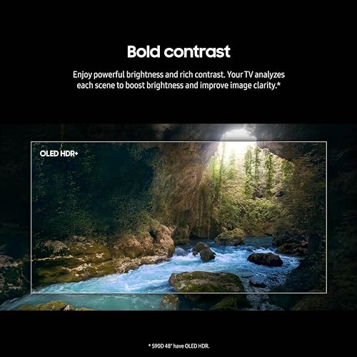 SAMSUNG S90DA Series TV with Amber Protection (2024)