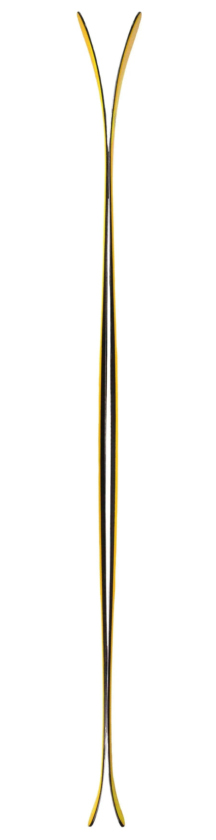 DPS Foundation Wailer F100 RP Skis F171w100rp · 171 cm