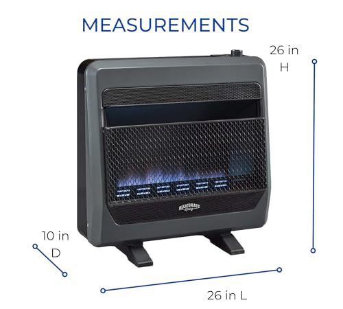 Bluegrass Living Natural Gas Vent Free Blue Flame Gas Space Heater with Blower and Base Feet