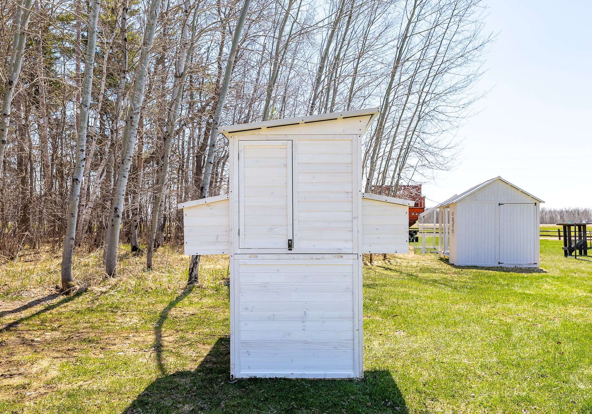 Zylina Modern Walk-In Hen House - Chicken Coop