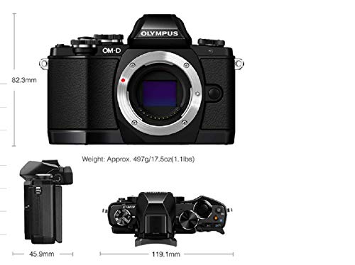 OM SYSTEM OLYMPUS OM-D E-M10 Mark II Mirrorless Camera (Black) - Body only