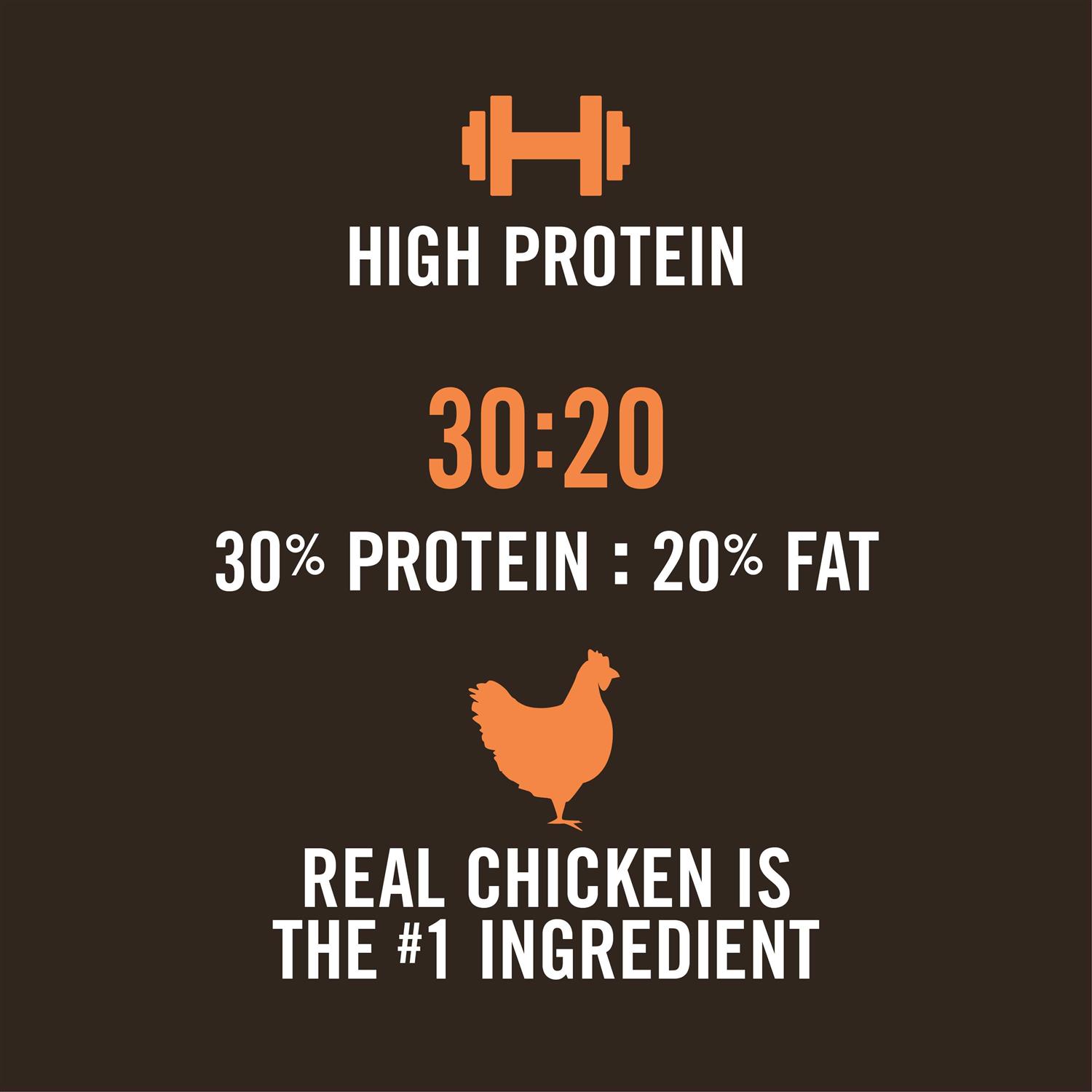 WholeHearted Active Performance High-Protein Chicken &amp; Rice Recipe Dry Dog Food - Pet Supplies online store