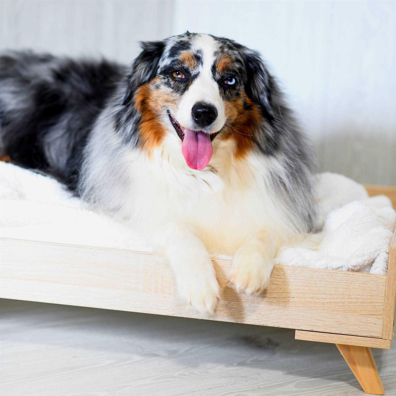 Midlee Raised Wooden Dog Bed Frame - Pet Supplies online store