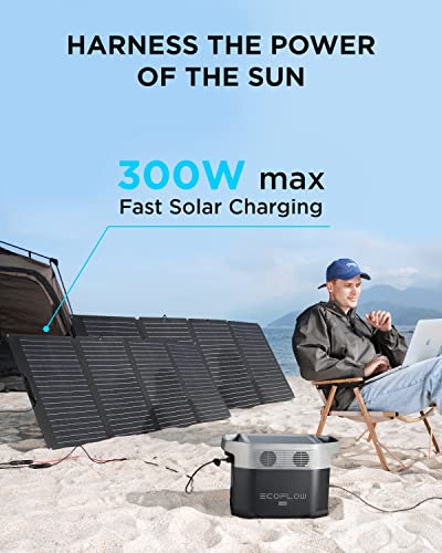 EF ECOFLOW Portable Power Station DELTA Mini Bundle