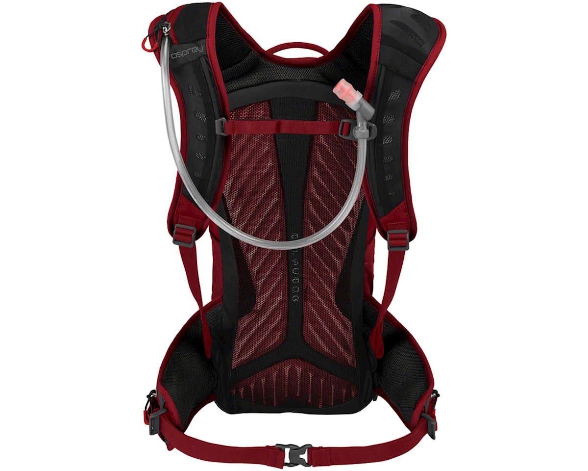 Osprey Raptor 14 (Wildfire Red)