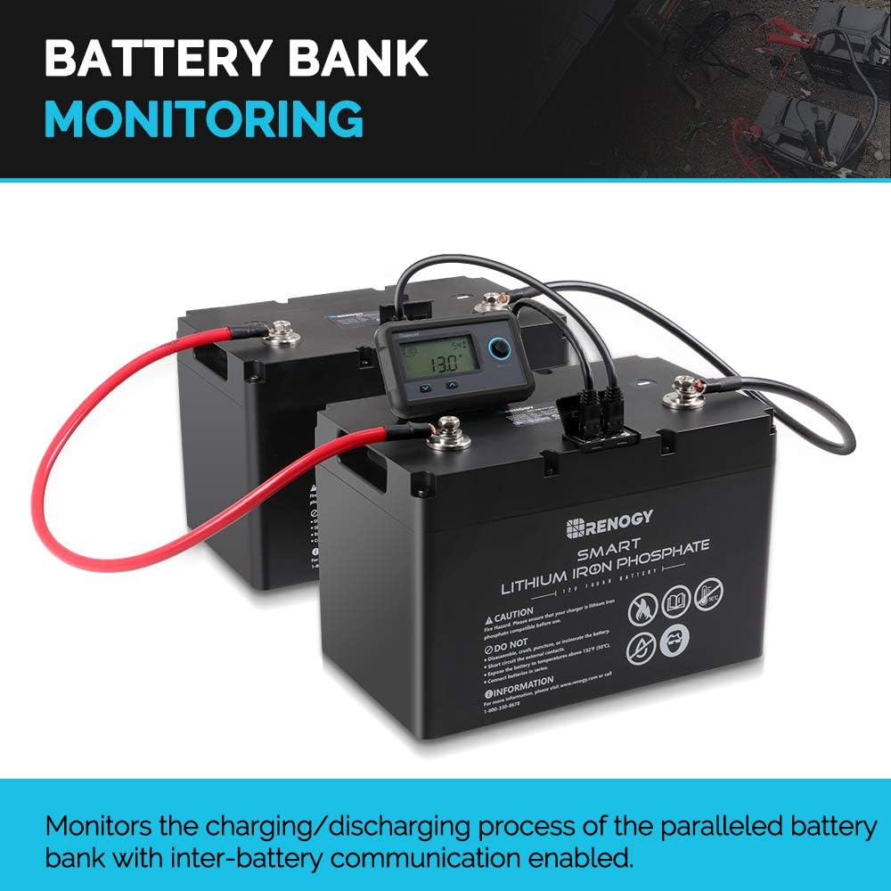 Renogy 12V 100Ah LiFePO4 Deep Cycle Lithium Battery, over 4000 Cycles, Built-in BMS, Backup Power for RV, Marine, Off-Grid System, Maintenance-Free