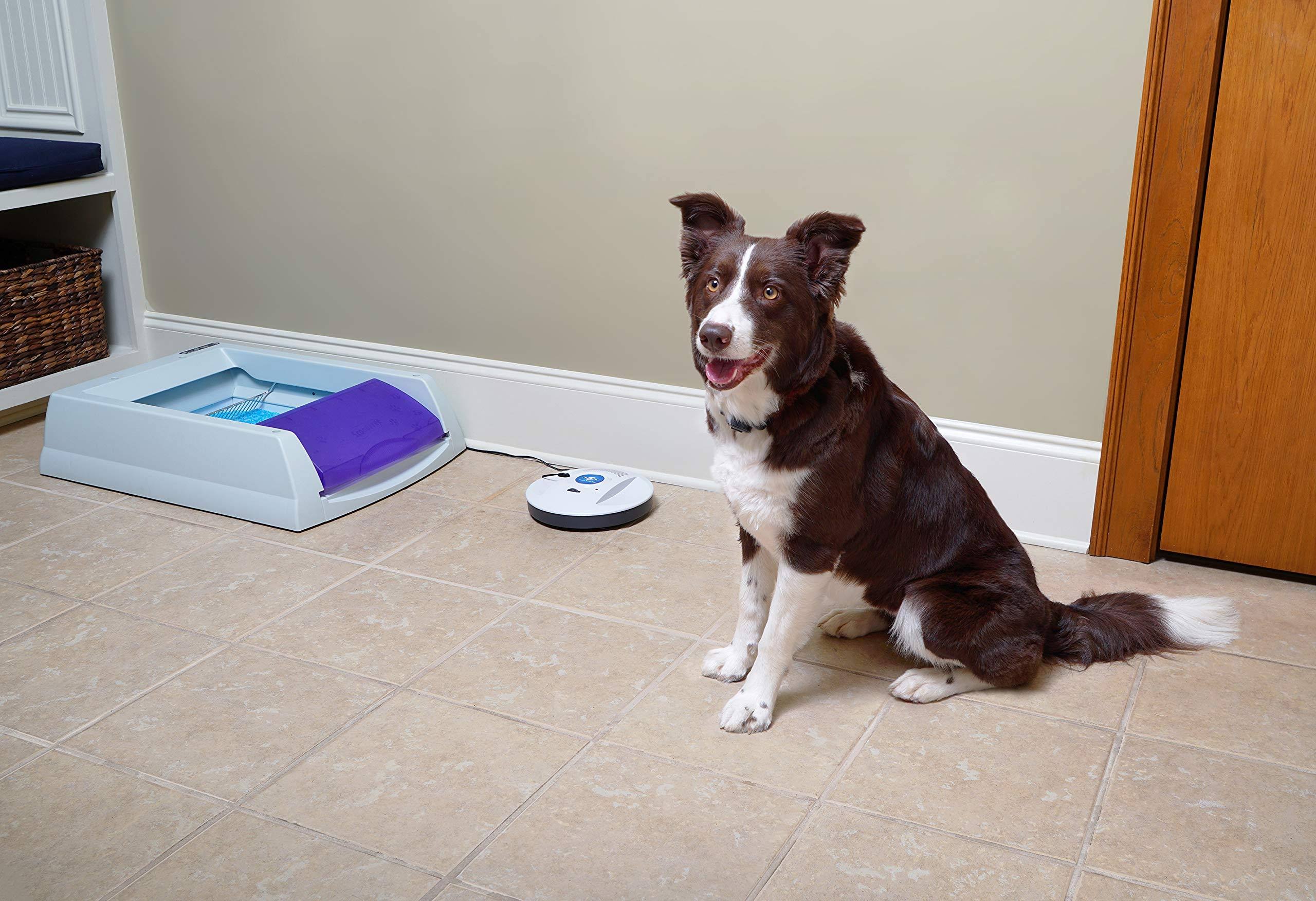 PetSafe ZIRF-100 Indoor Radio Fence Transmitter