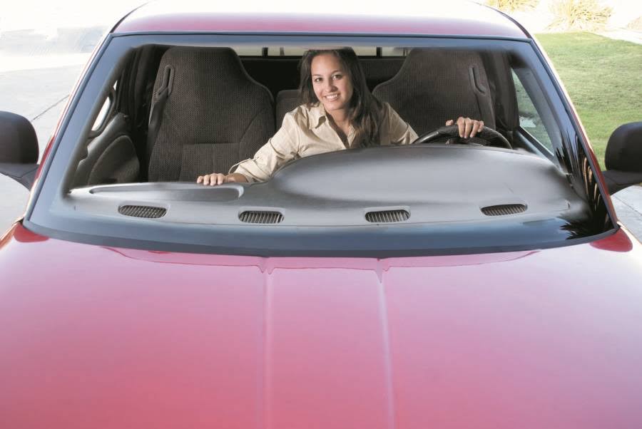 Coverlay 1993 Ford F-150 Dash COVER, 12-115-NTL