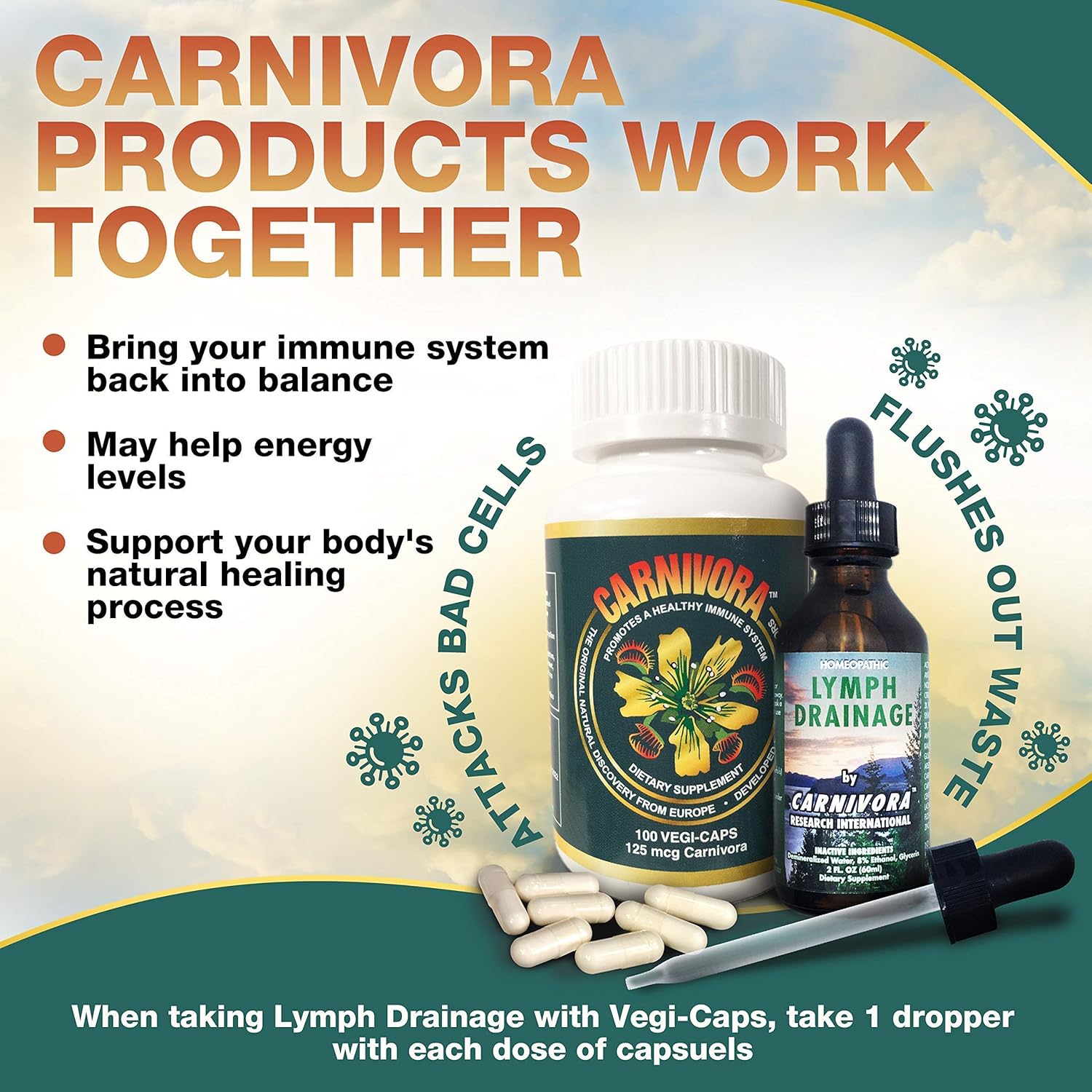 Carnivora Triple Play - Immune System Support, Lymph System Flush, and Enhancement for Joints and Digestion (Bundle with 1 Bottle Vegi-Caps, 1 Bottle Lymph Drainage, and 1 Bottle Turmeric)