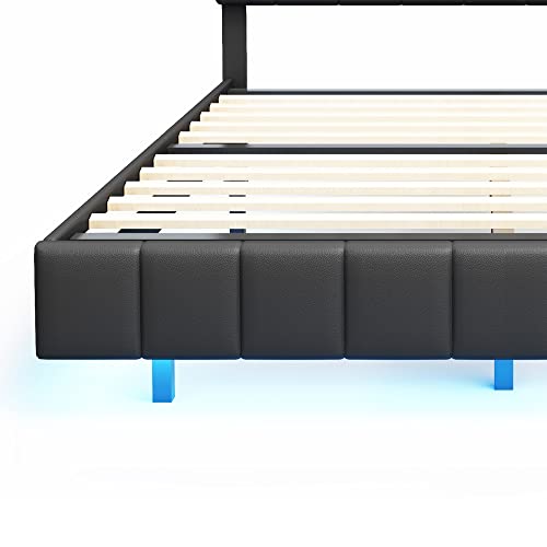 Queen Size Floating Bed Frame with LED Lights and USB Charging,Modern Upholstered Platform LED Bed Frame Queen led Bed Frame (Black)