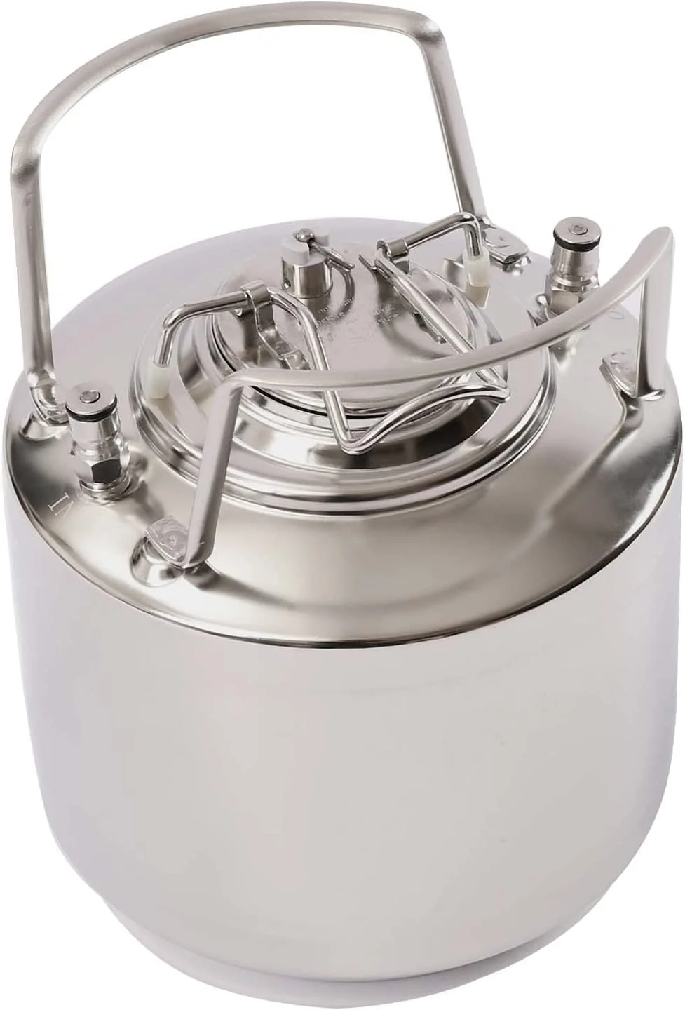 Miumaeov Stainless Steel 1.6 Gallon Mini Ball Lock Keg System For Small Batch HomeBrewing Beer Brewing Strap Handle