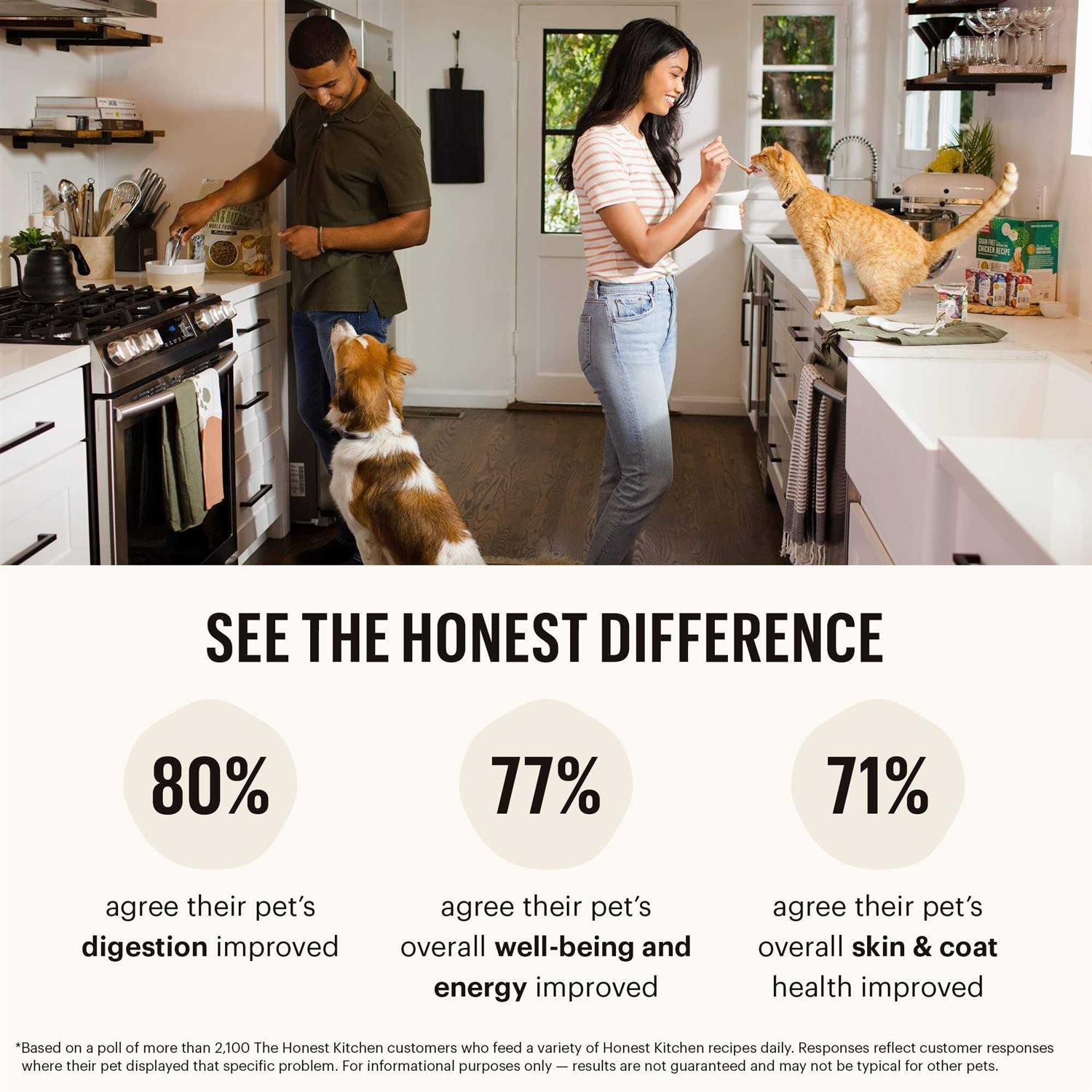 The Honest Kitchen Grain-Free Chicken Fish Whole Food Clusters Dry Cat Food - Pet Supplies online store