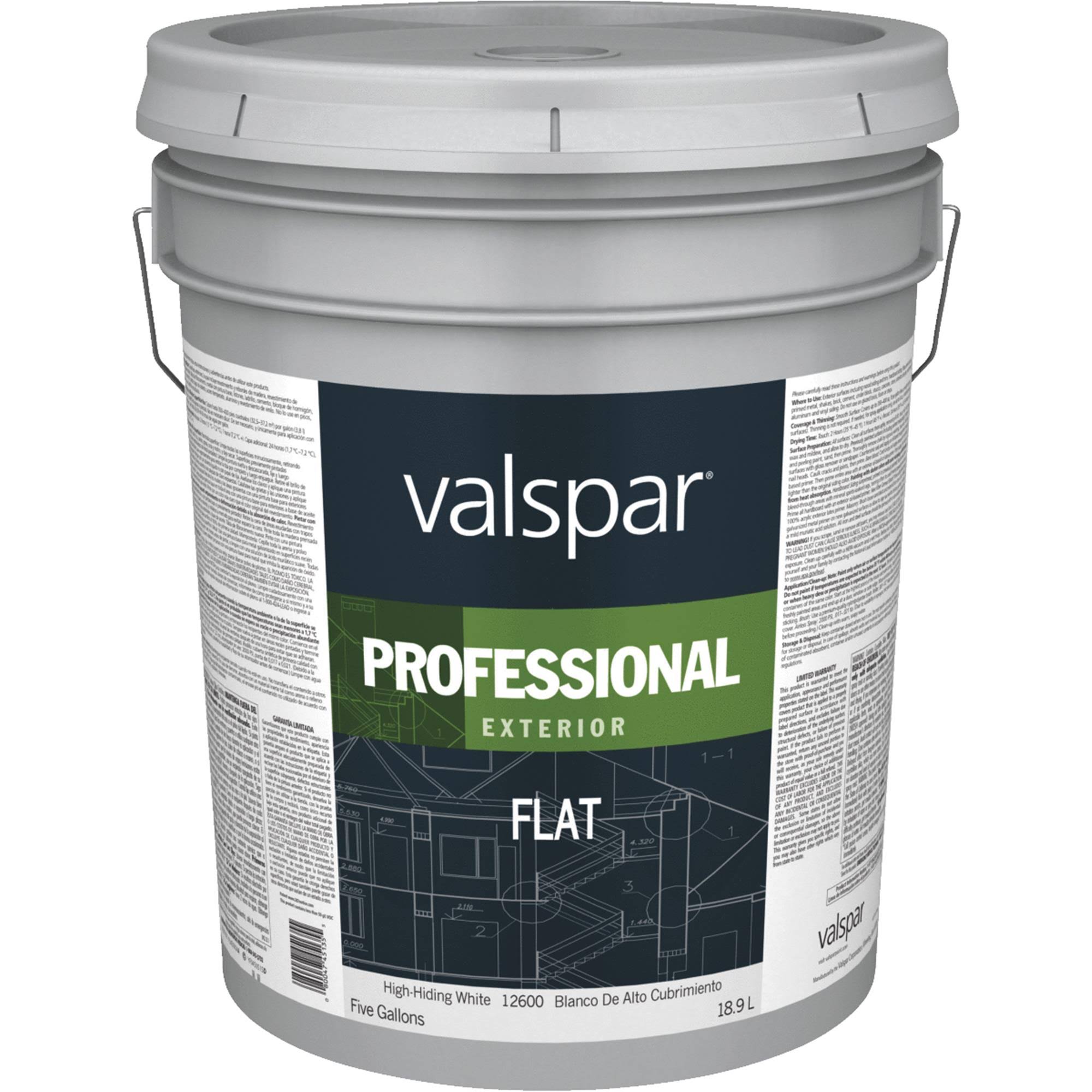 Valspar 12600 Professional Paint Exterior Flat Latex White 5 Gallon