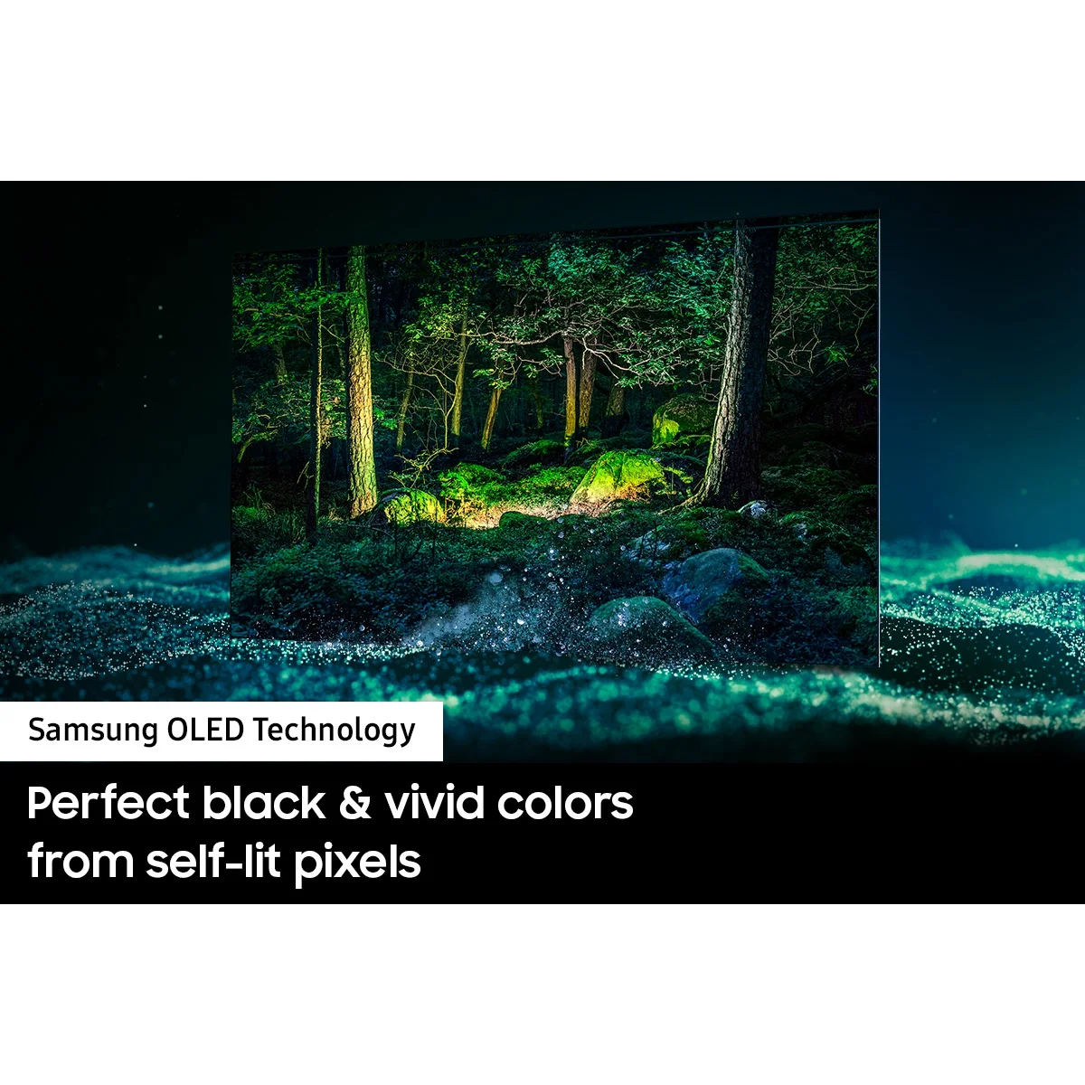 SAMSUNG 65" Class S95B OLED 4K Smart TV QN65S95BAFXZA 2022