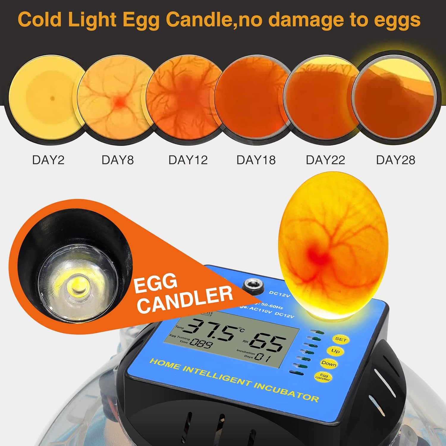 12 Egg Incubator, Automatic Incubator with Humidity Display, Egg Candler, Automatic Egg Turner, Water Feeder, Feeder for Hatching Chickens Pack of 2