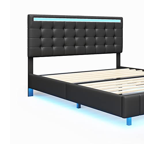 Queen Size Floating Bed Frame with LED Lights and USB Charging,Modern Upholstered Platform LED Bed Frame Queen led Bed Frame (Black)