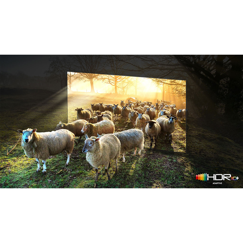 Open Box Samsung 75-Inch Class Neo QLED 8K QN900A Series UHD Quantum HDR 64x, Infinity Screen, Anti-Glare, Object Tracking Sound Pro, Smart TV with Alexa Built-In (QN75QN900AFXZA, 2021 Model)