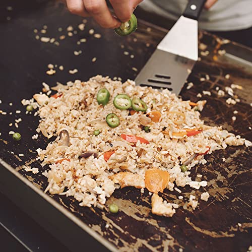 Razor Griddle Propane Gas Grill Griddle