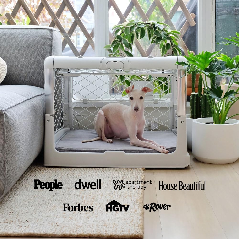 Diggs Revol Dog Crate (Collapsible Dog Crate, Portable Dog Crate, Travel Dog Crate, Dog Kennel) for Small Dogs and Puppies (Ash)