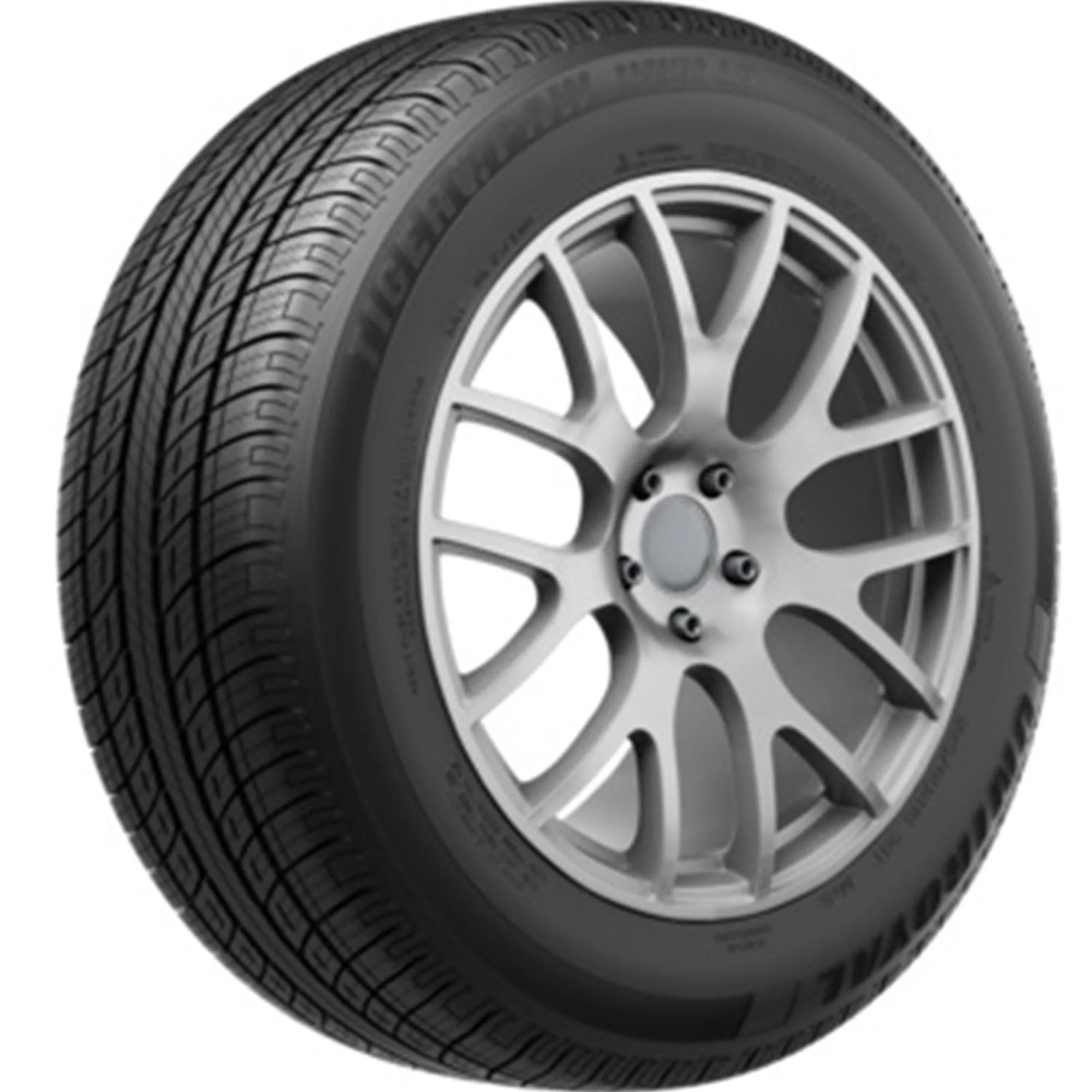 Uniroyal Tiger Paw Touring A/S DT All Season 255/45R19 100V Passenger Tire