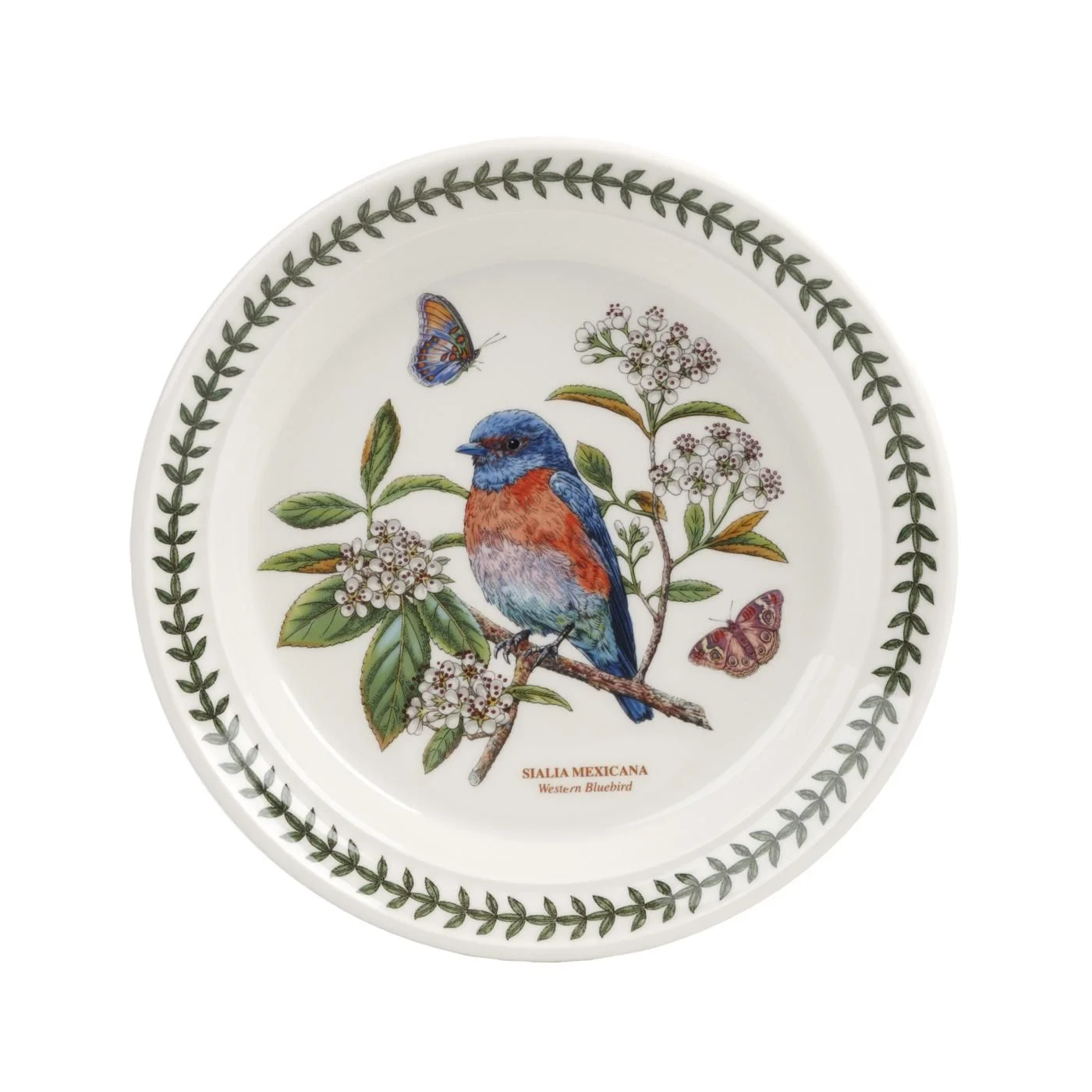 Portmeirion Botanic Garden Birds 8.5 inch Salad Plate, Set of 6 - Assorted Motifs