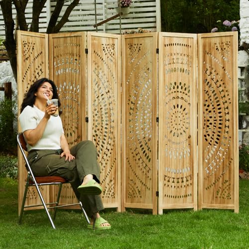Room Divider Wood Carved Wall Divider Indoor Folding Bohemian Style Portable Partition Screen for Home Office Garden Terrace - 6 Panels (Antique, White-Washed)