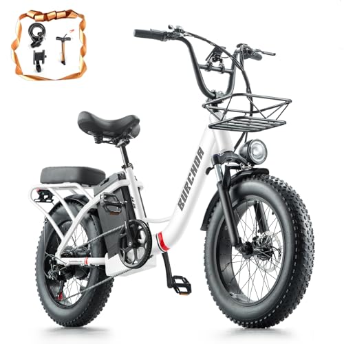 DAMSON Electric Bike for Adults 750W,48V 31.5AH Long-Range Adult Electric Bicycles, 20" Fat Tire Full Suspension Ebike, 25MPH Beach Mountain E Bike with Dual Disc Brakes,118Miles Range